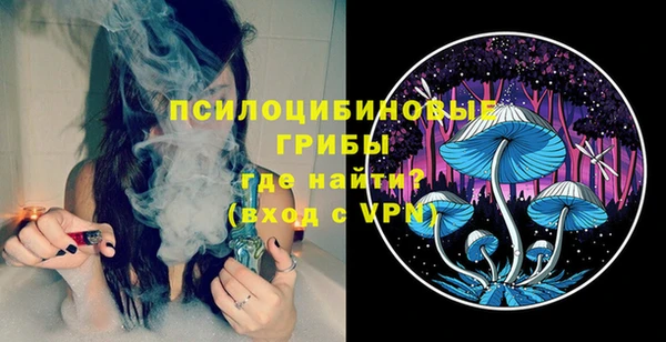 твердый Алексин