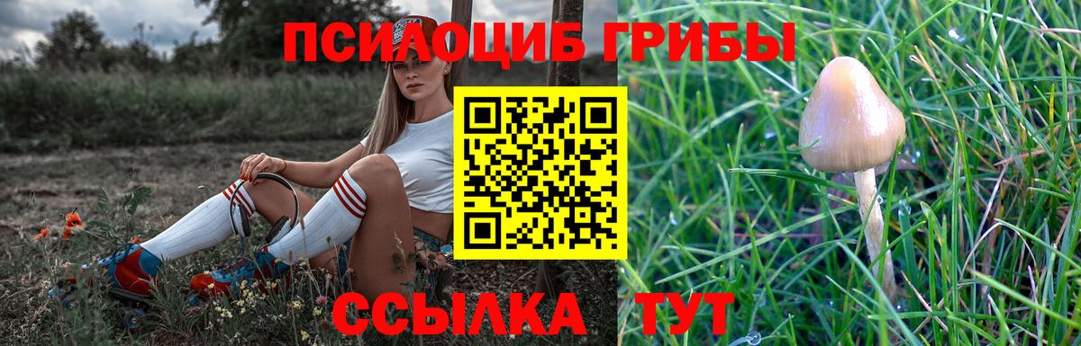 Галлюциногенные грибы мухоморы  Галлюциногенные грибы прущие грибы  Вход с VPN  Чистополь 