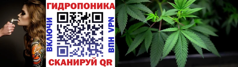 сколько стоит  Чистополь  МАРИХУАНА сатива 